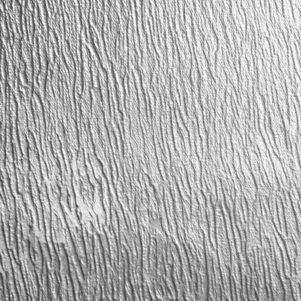 Close-up of a metal print with a subtly textured surface, perhaps a wildlife photo where the animal's fur has a slightly raised, tangible feel, with light accentuating the texture.